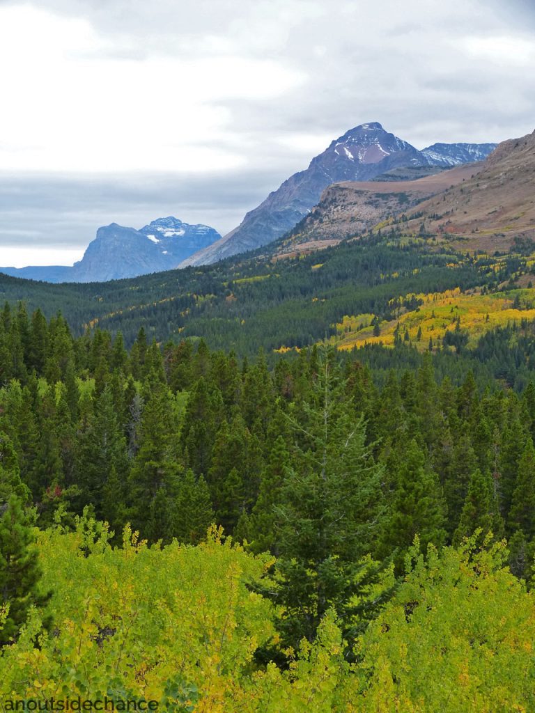 Fall colours in Glacier National Park, Montana, Sept 17, 2016