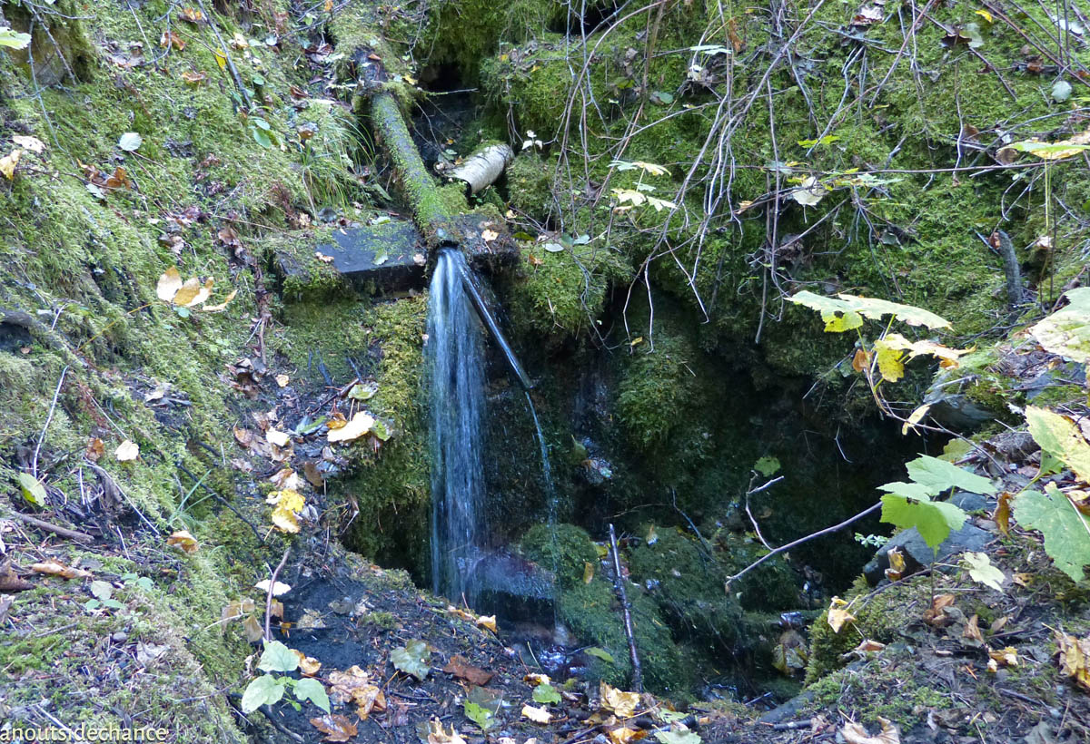 A spring water tap beside the Columbia & Western trail.